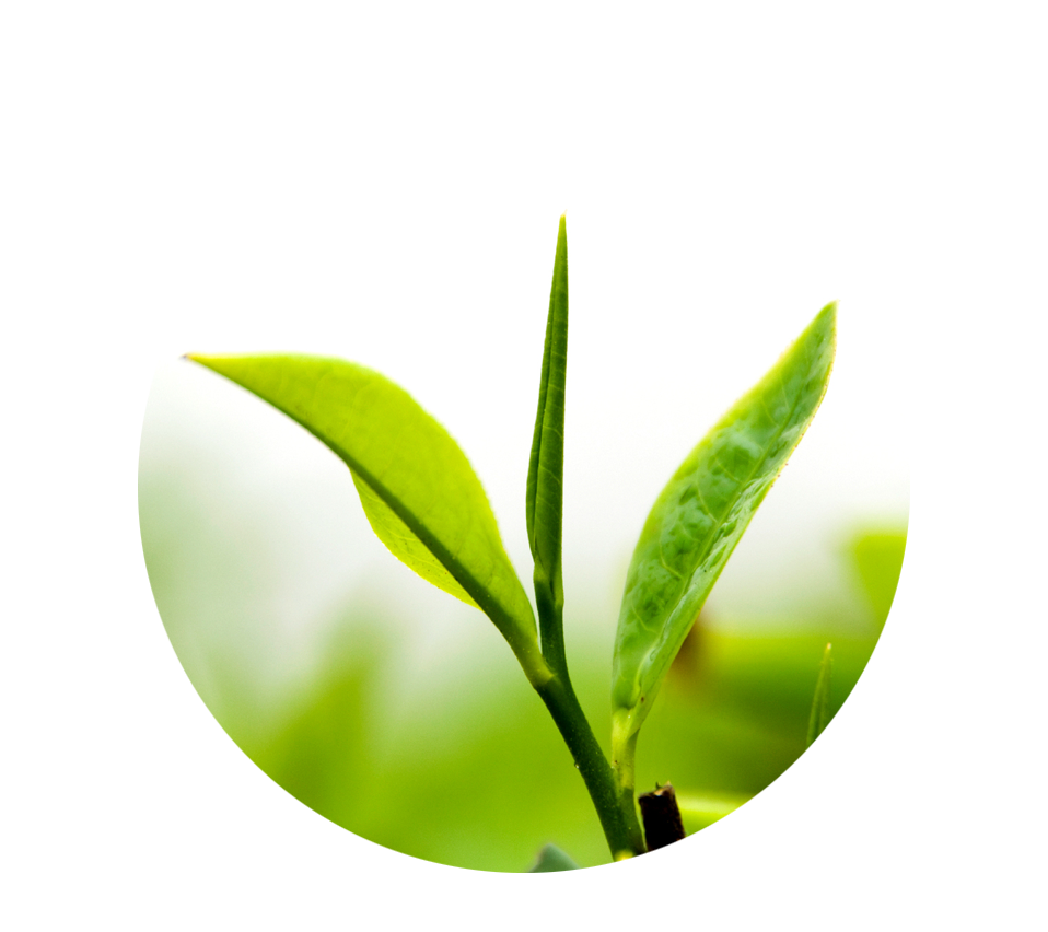 当院は、何でも相談できる「かかりつけ医」として患者さんの病気について丁寧に分かりやすく説明し、納得していただける医療を心がけ、地域医療に貢献できるよう努力していきたいと思っております。どうぞよろしくお願い致します。