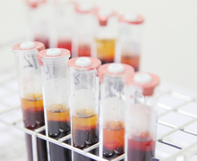 当院で可能な検査